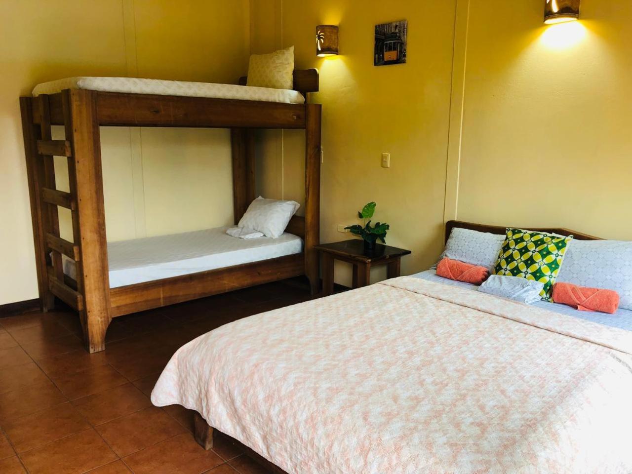 Cocodrilo Couette-café